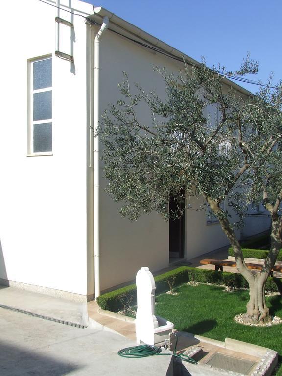 Apartment Singa زادار الغرفة الصورة
