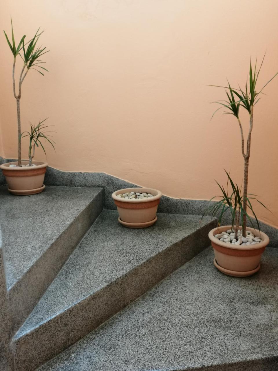 Apartment Singa زادار المظهر الخارجي الصورة